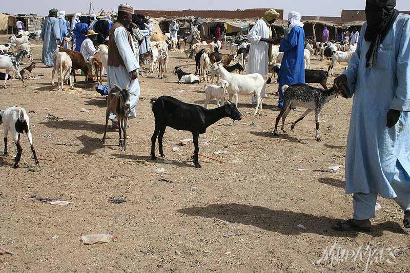 Mud Maps Africa Agadez 3116